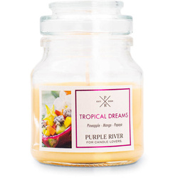 Sojová vonná svíčka Tropical Dreams Purple River 113 g
