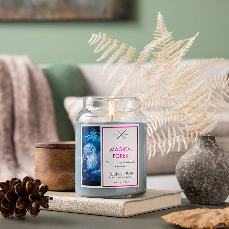 Grande bougie parfumée au soja dans en verre santal bergamote Magical Forest Purple River 623 g