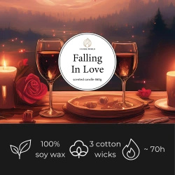 Candle World naar soja geurende valentijnskaars 3 lonten Falling in Love 460 g