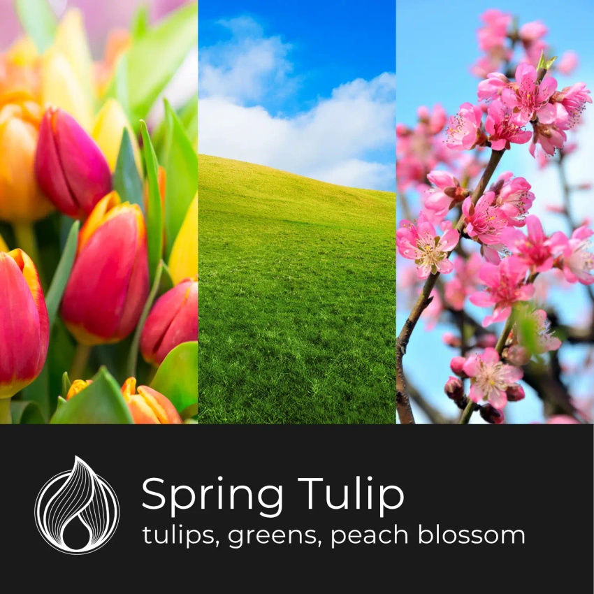 Candle World sójový vonný vosk Spring Tulip 50 g
