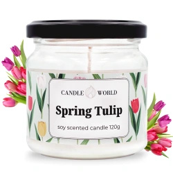 Candle World soja-Duftkerze im Glas Spring Tulip 120 g Tulpe