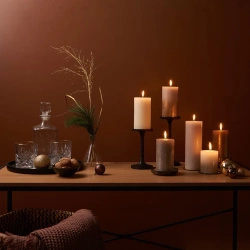 Bolsius poste de vela tronco rustico Rustic Shine 100/50 mm 10 cm - Perla fina