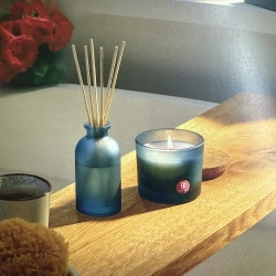 Bolsius bougie parfumée moyenne en verre 66/83 mm True Joy - Woody Wellness